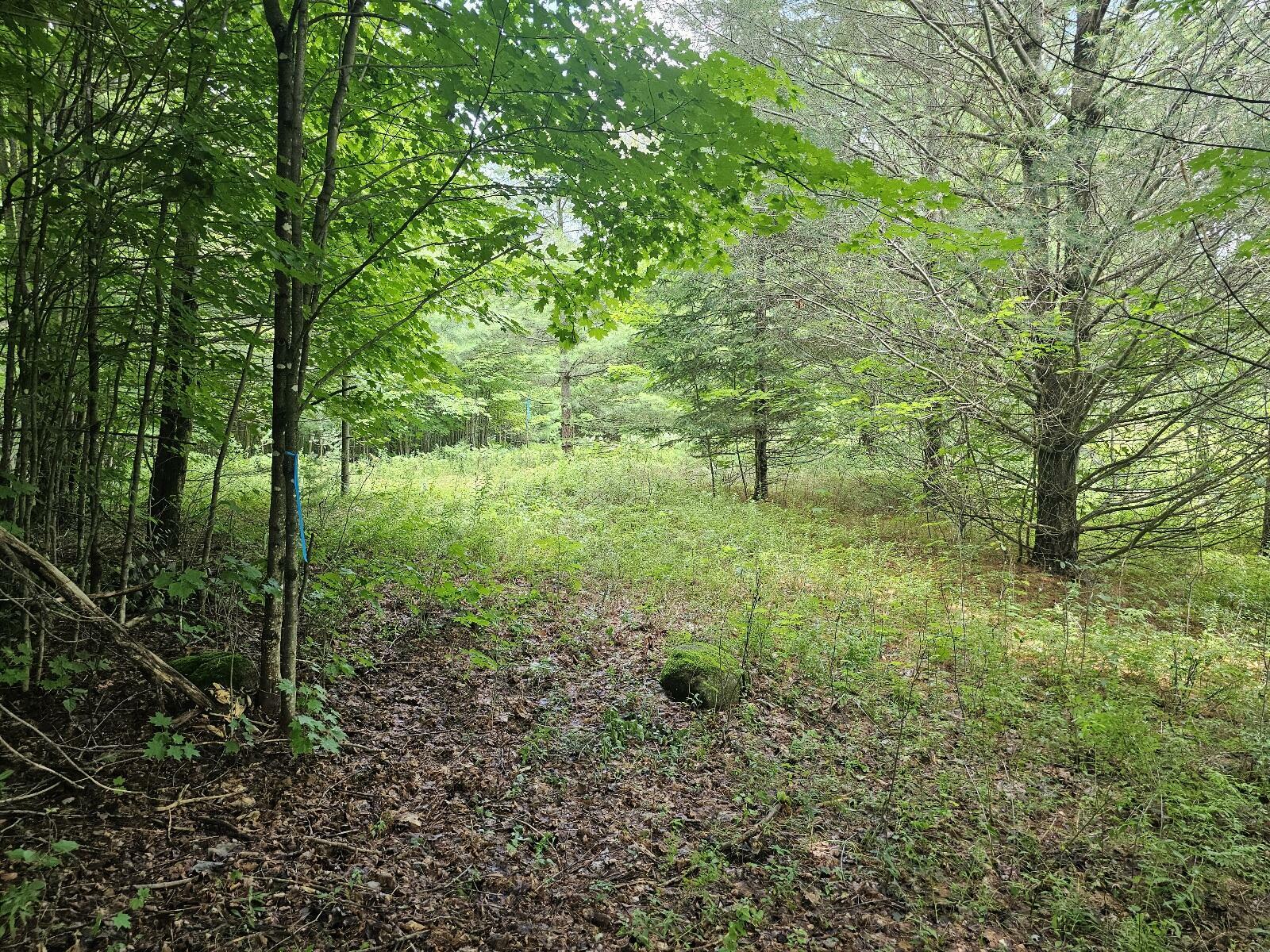 Property Photo: 9907 Sh 3 NY 12973