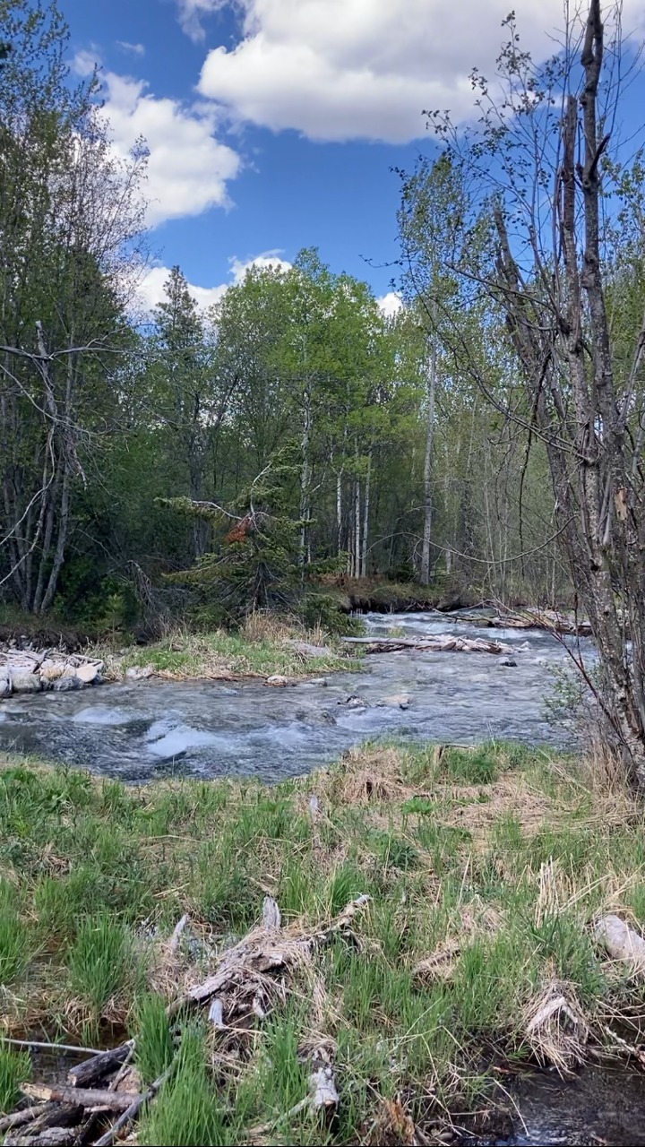 Property Photo: 829 Pheasant Run MT 59840
