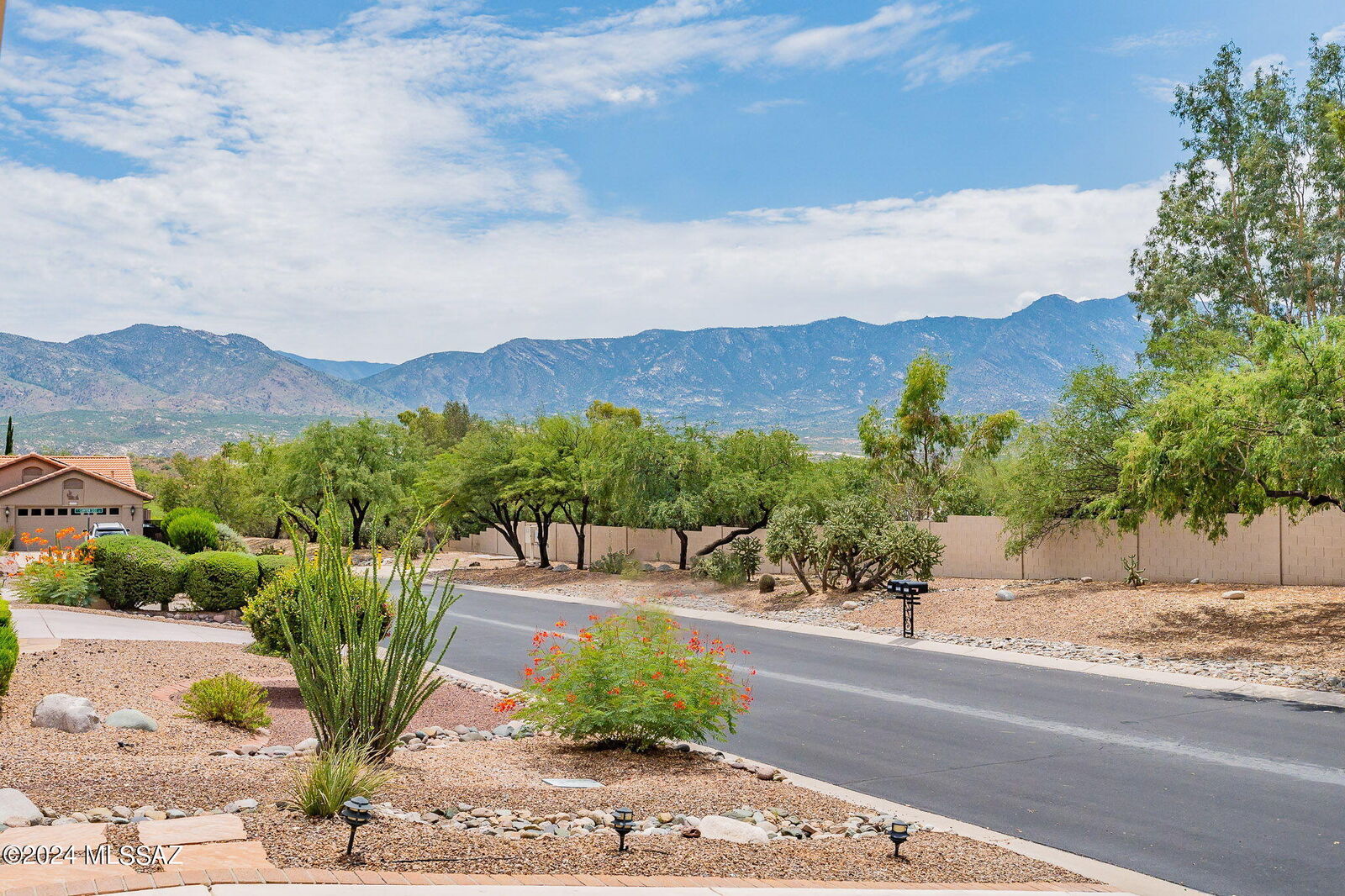 Property Photo: 63812 E High Point Lane AZ 85739
