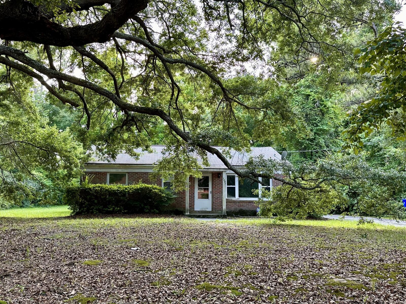 Property Photo:  1341 Witter Street  SC 29412 