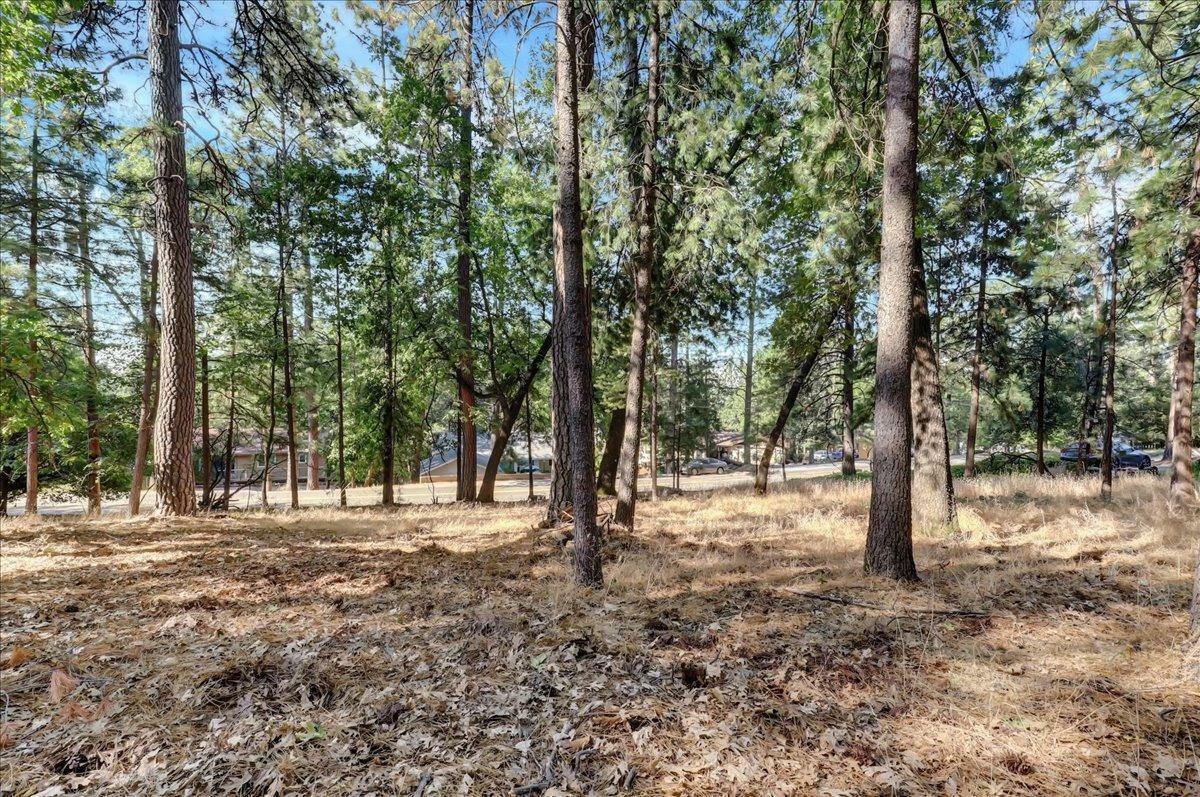 Property Photo:  11478 Alta Sierra Drive  CA 95949 