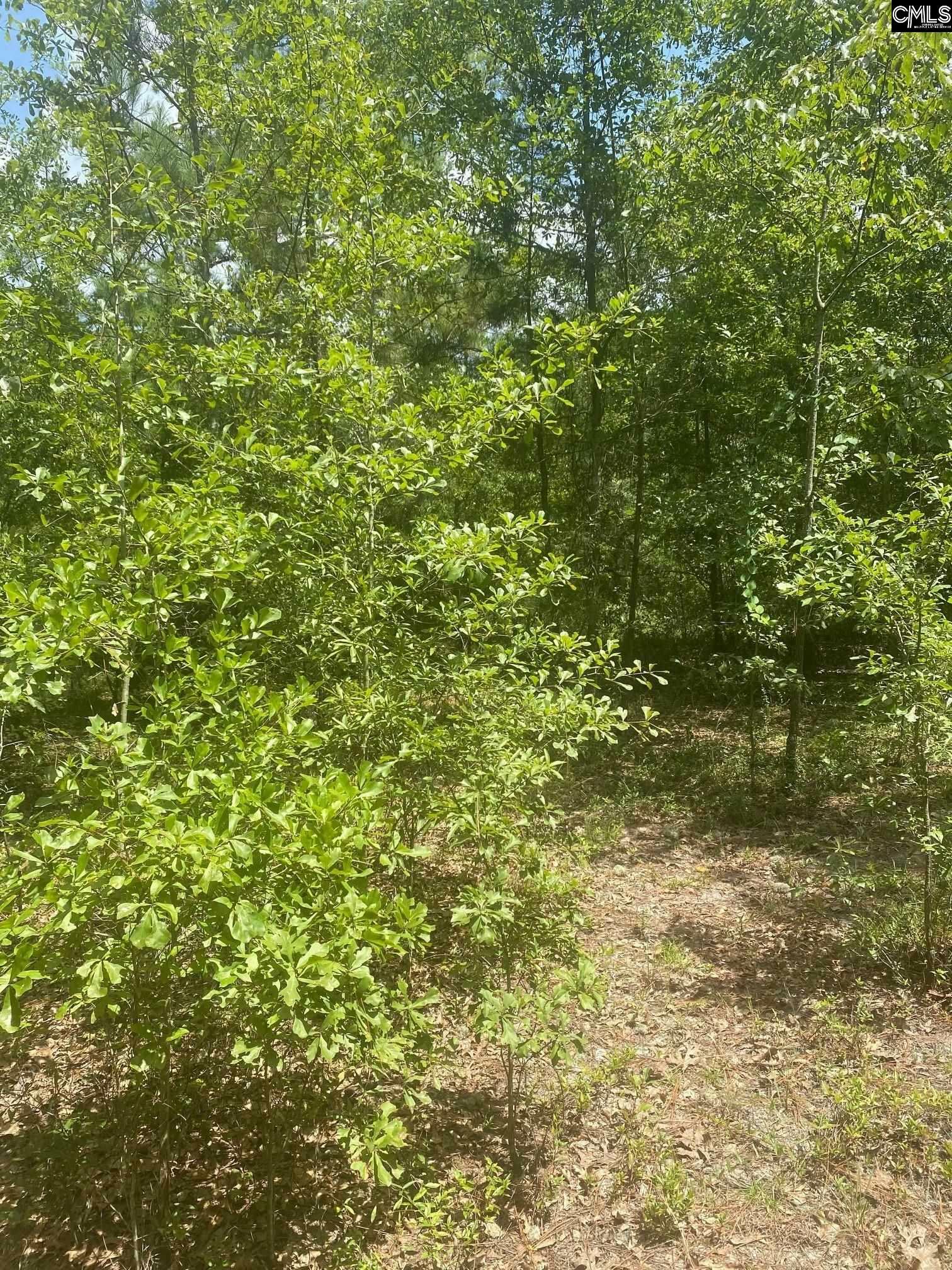 Property Photo:  Rutherford  SC 29073 