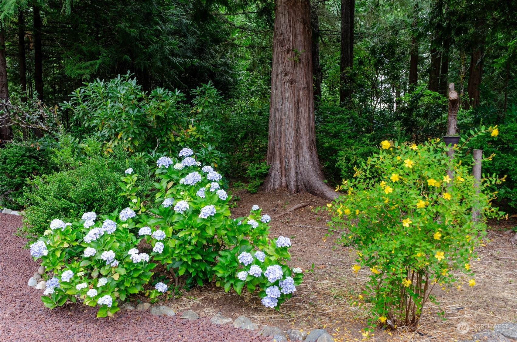 Property Photo:  9373 Lawrence Drive SE  WA 98367 