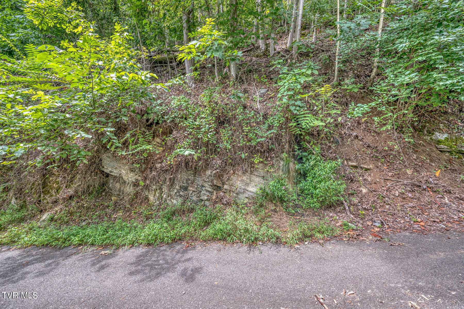 Property Photo:  Lot 24 Furches Drive  TN 37615 