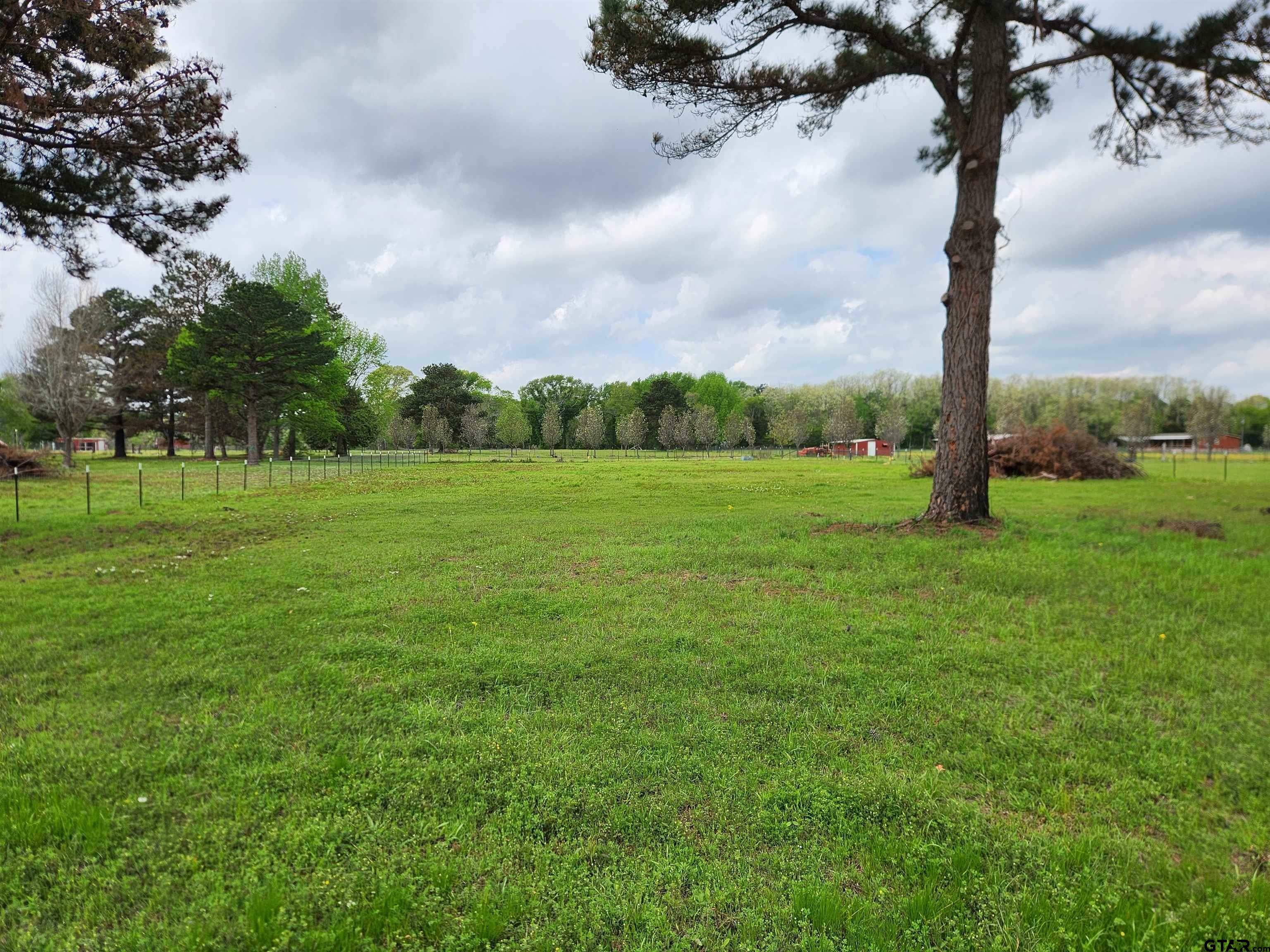 Property Photo:  Tbd Lot # 4 County Road 4202  TX 75758 