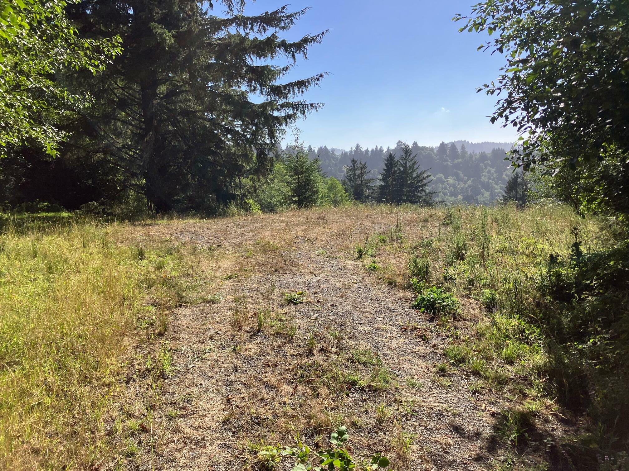 Property Photo: 0 Mattole Road CA 95536