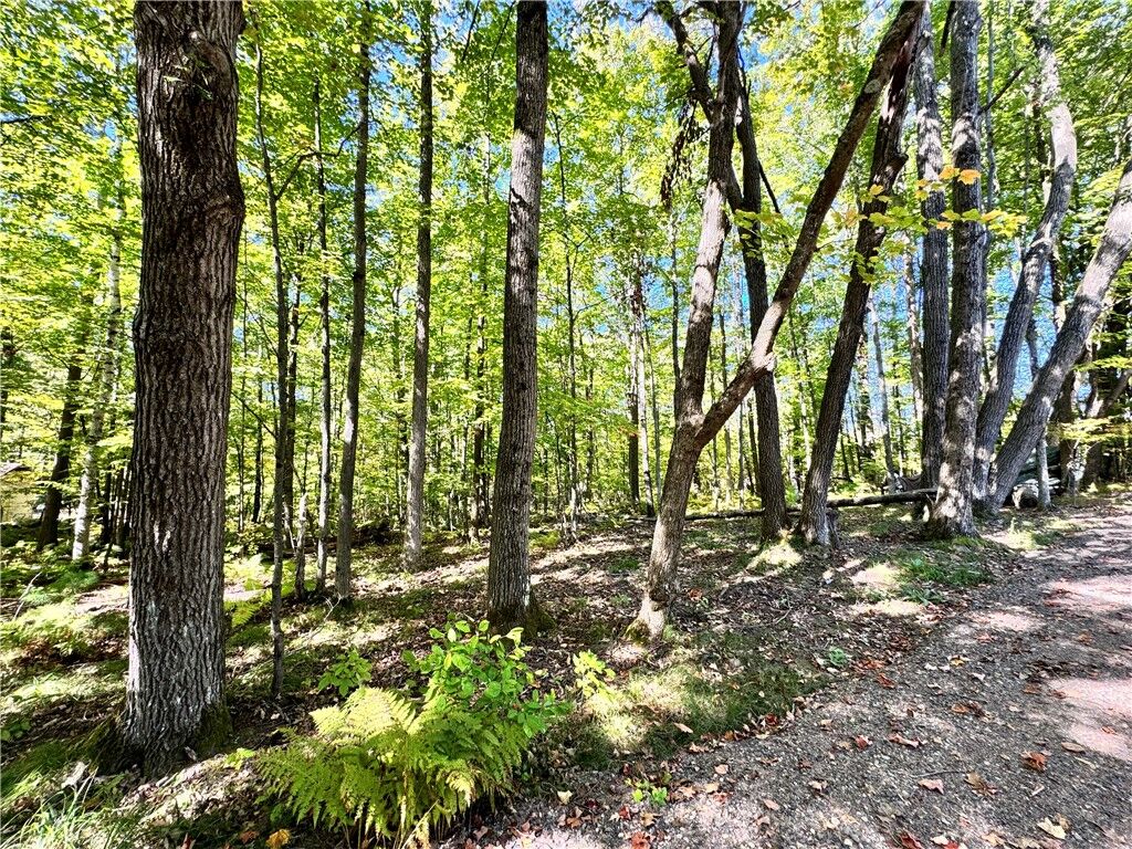 Property Photo:  Lot 35 Bethel Road  WI 54843