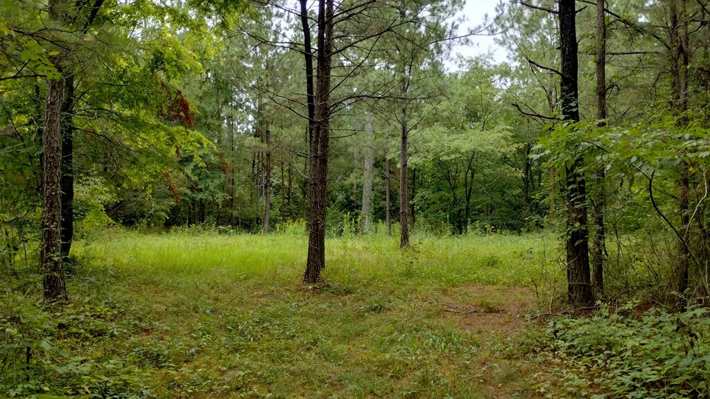 Property Photo:  Tract 10 Ledford Road  GA 30721 