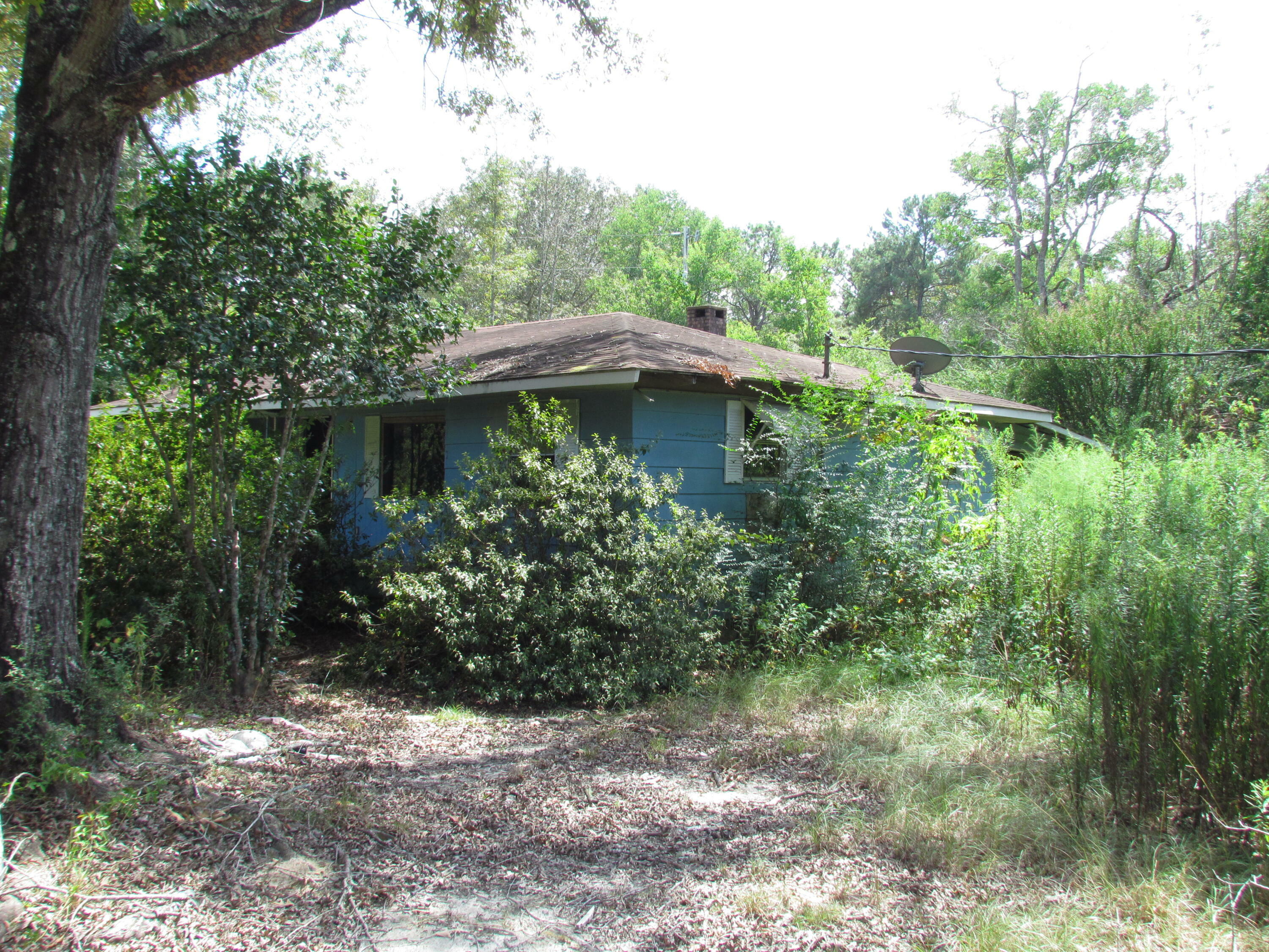 Property Photo:  151 Pinewoods Rd.  MS 39470 