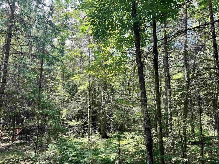 Property Photo:  Xxx Chippewa Tr  WI 54867 