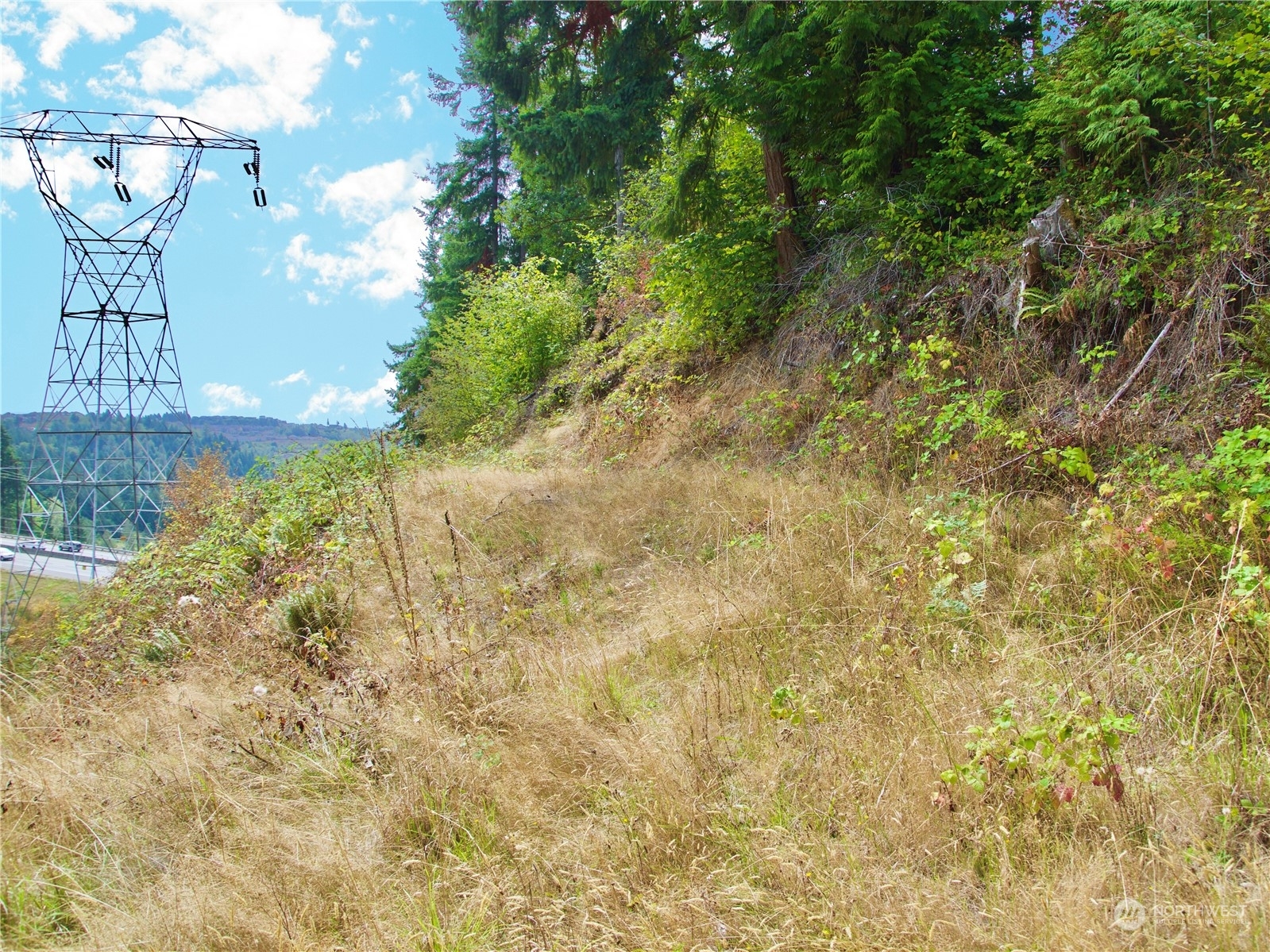 Property Photo:  17233 State Route 410 W  WA 98391 