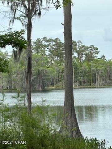 Property Photo:  Lot 20 Magnolia Drive  FL 32428 