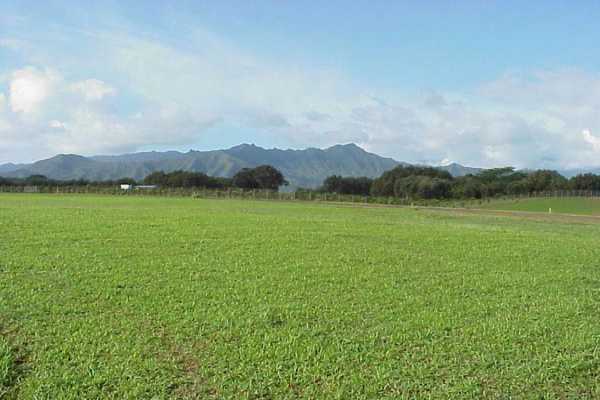 Property Photo:  Pu'U Pane  HI 96754 