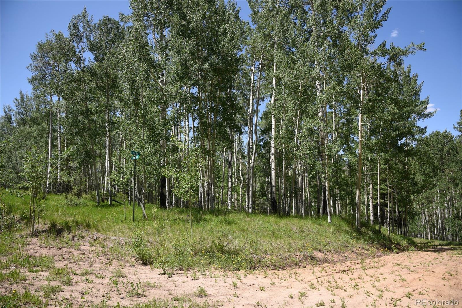 Property Photo:  0000 Mo Road  CO 81133 