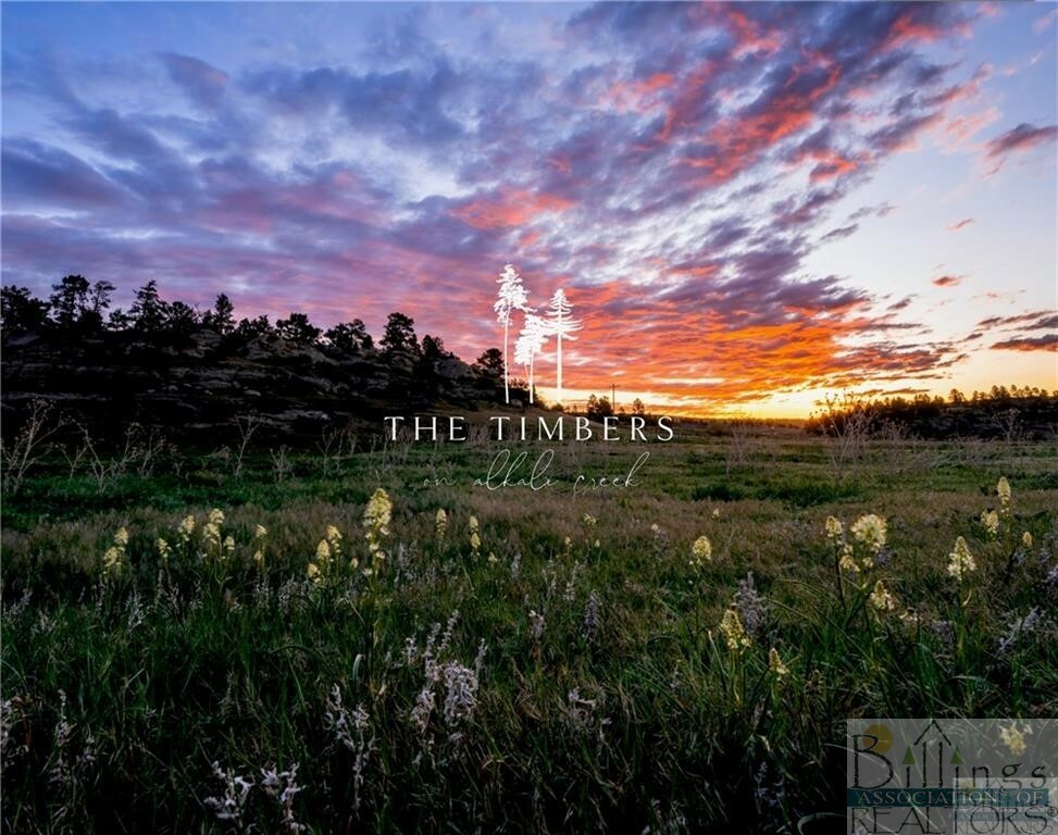 Property Photo:  Lot 2 Timbers Boulevard S  MT 59105 