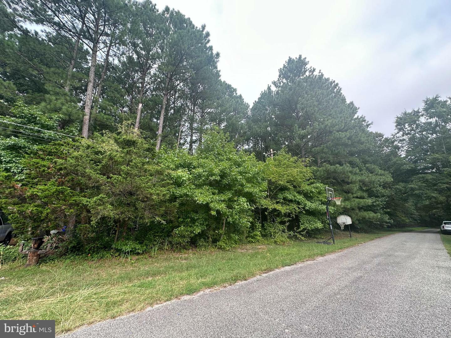 Property Photo:  Parcel 347 Shady Oak Lane  MD 20646 