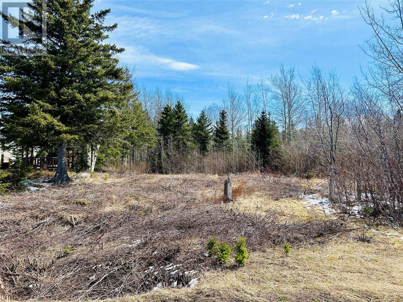 Property Photo:  56 Pleasantview Road  NL  