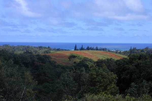 Kaehulua Rd. 4  Kapaa HI 96746 photo