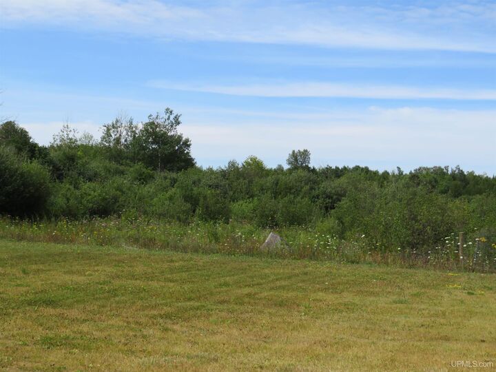 Property Photo:  47663 Main Street  MI 49931 