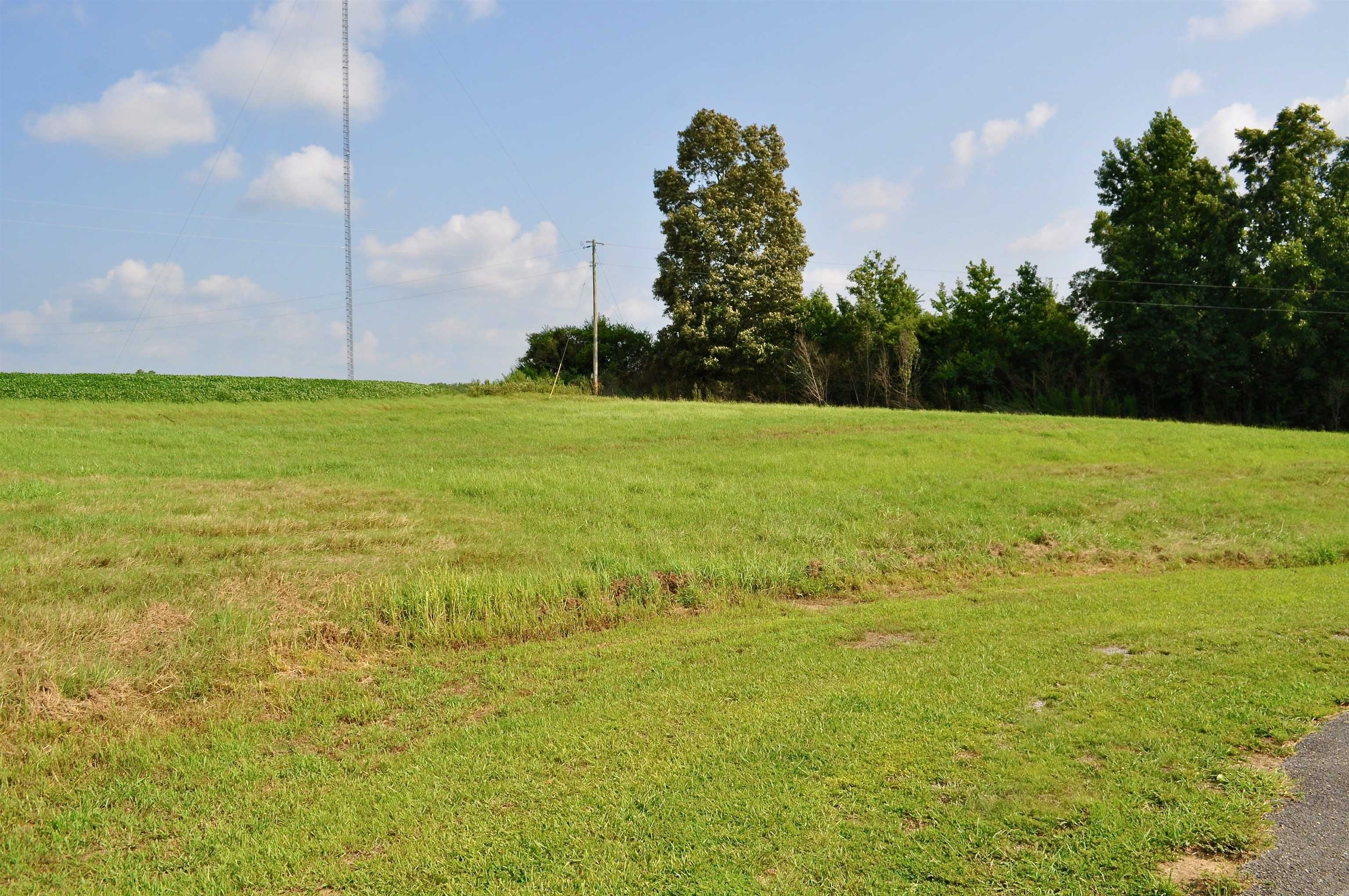 Property Photo:  Lot 13 Tiffani Dr  AL 35058 - CULLMAN 