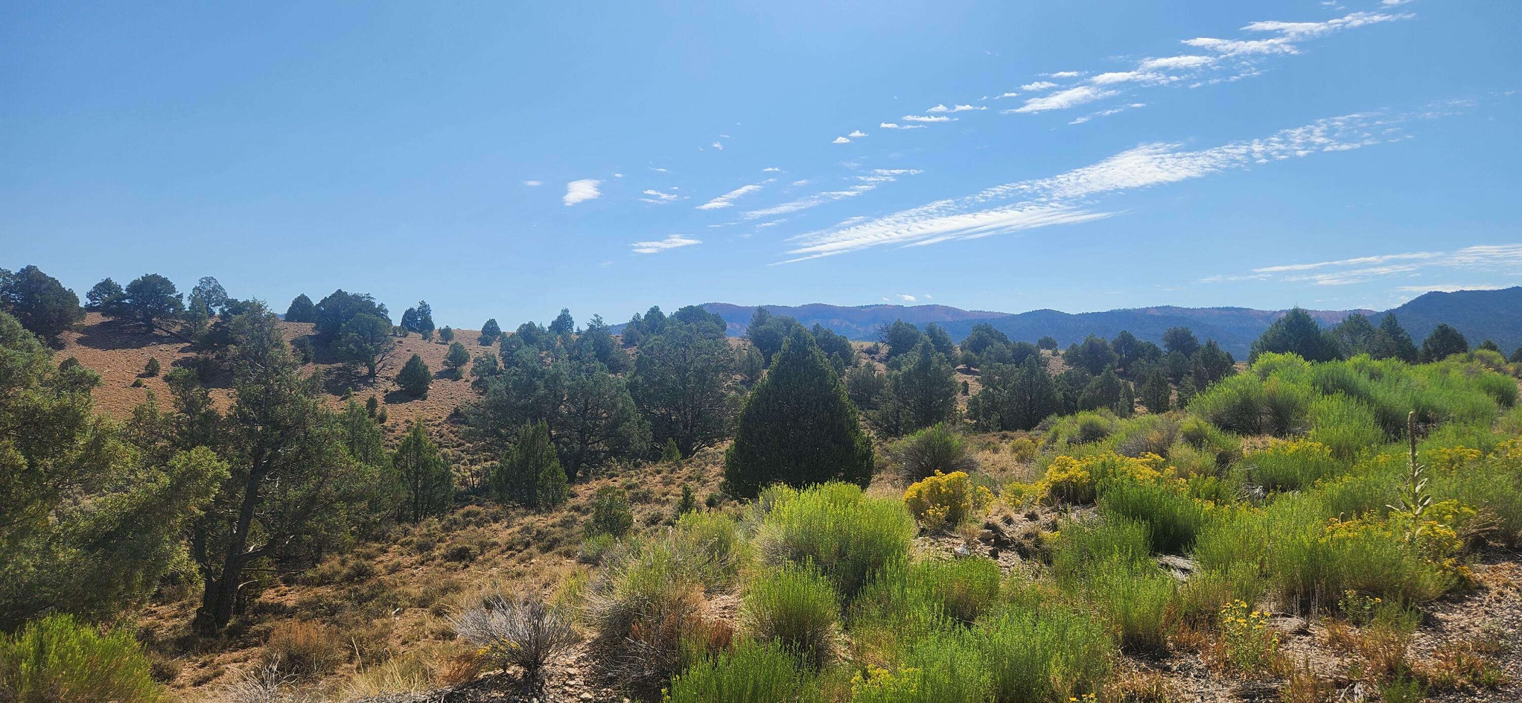 Property Photo: 1775 E Eagle Ridge Rd E 17 UT 84735