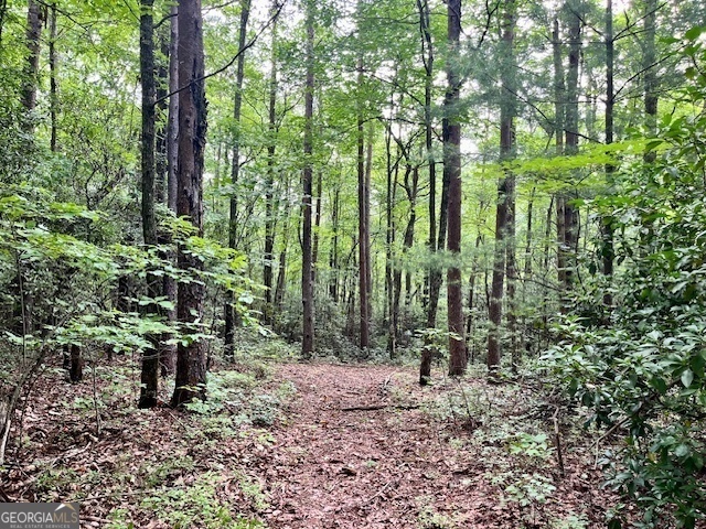 10 Ac Ralston Creek Trail  Ellijay GA 30536 photo