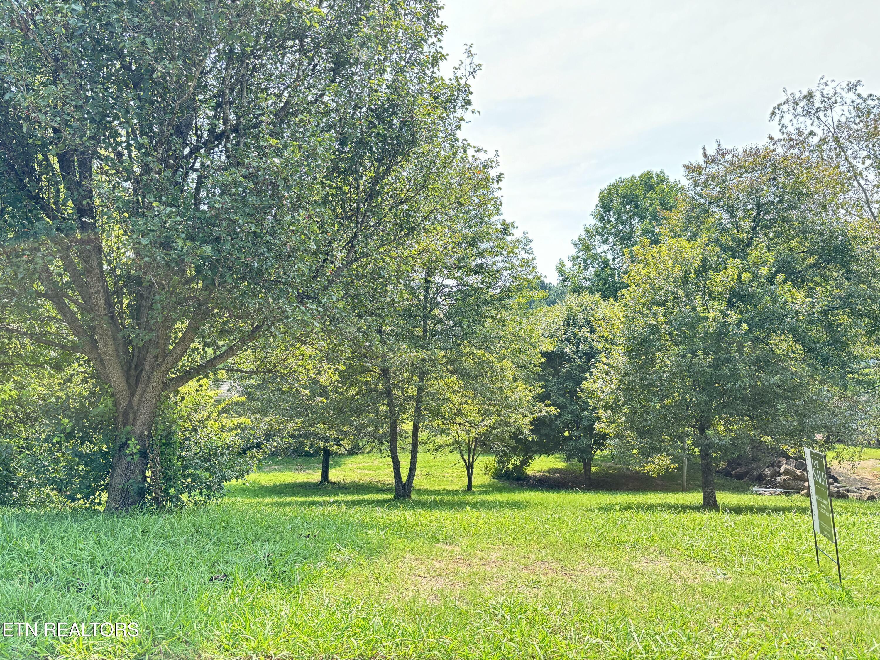 Property Photo:  Lot 11 Wood View Circle  TN 37764 