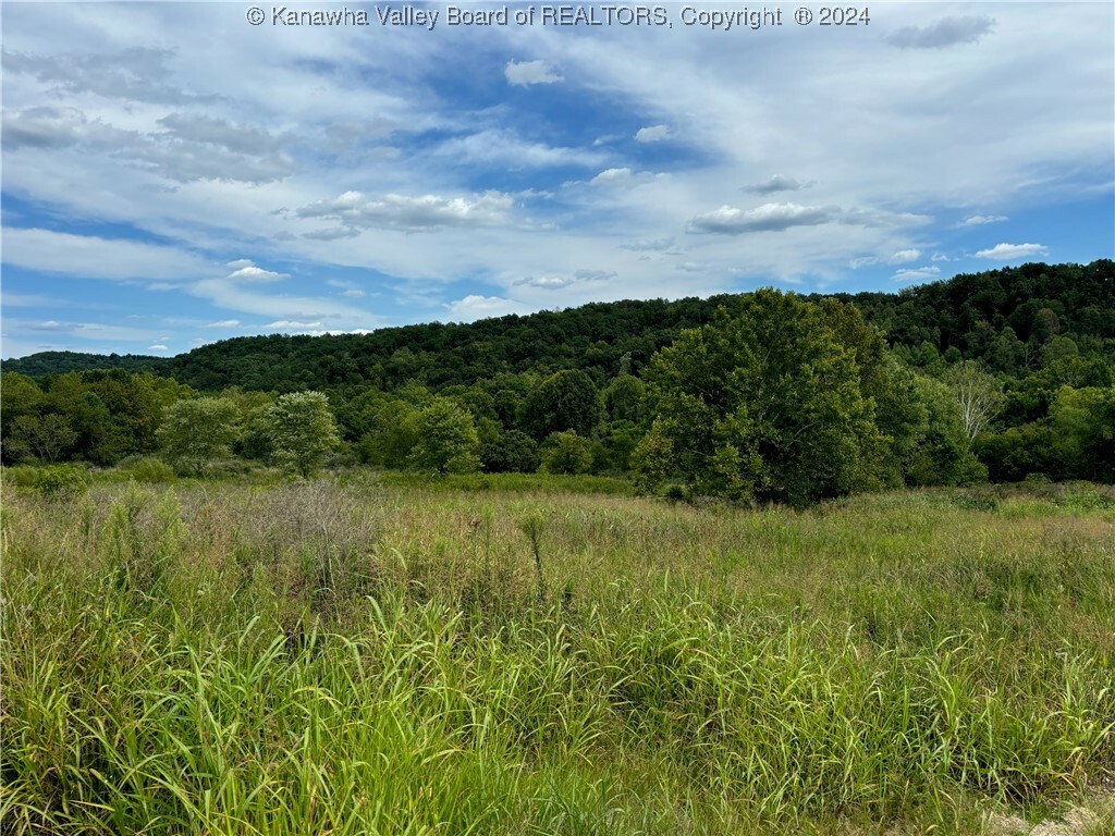 83 Gavin Lane  Hurricane WV 25526 photo