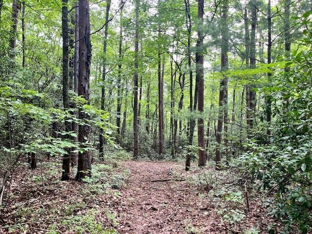 10 Ac Ralston Creek Trail  Ellijay GA 30536 photo