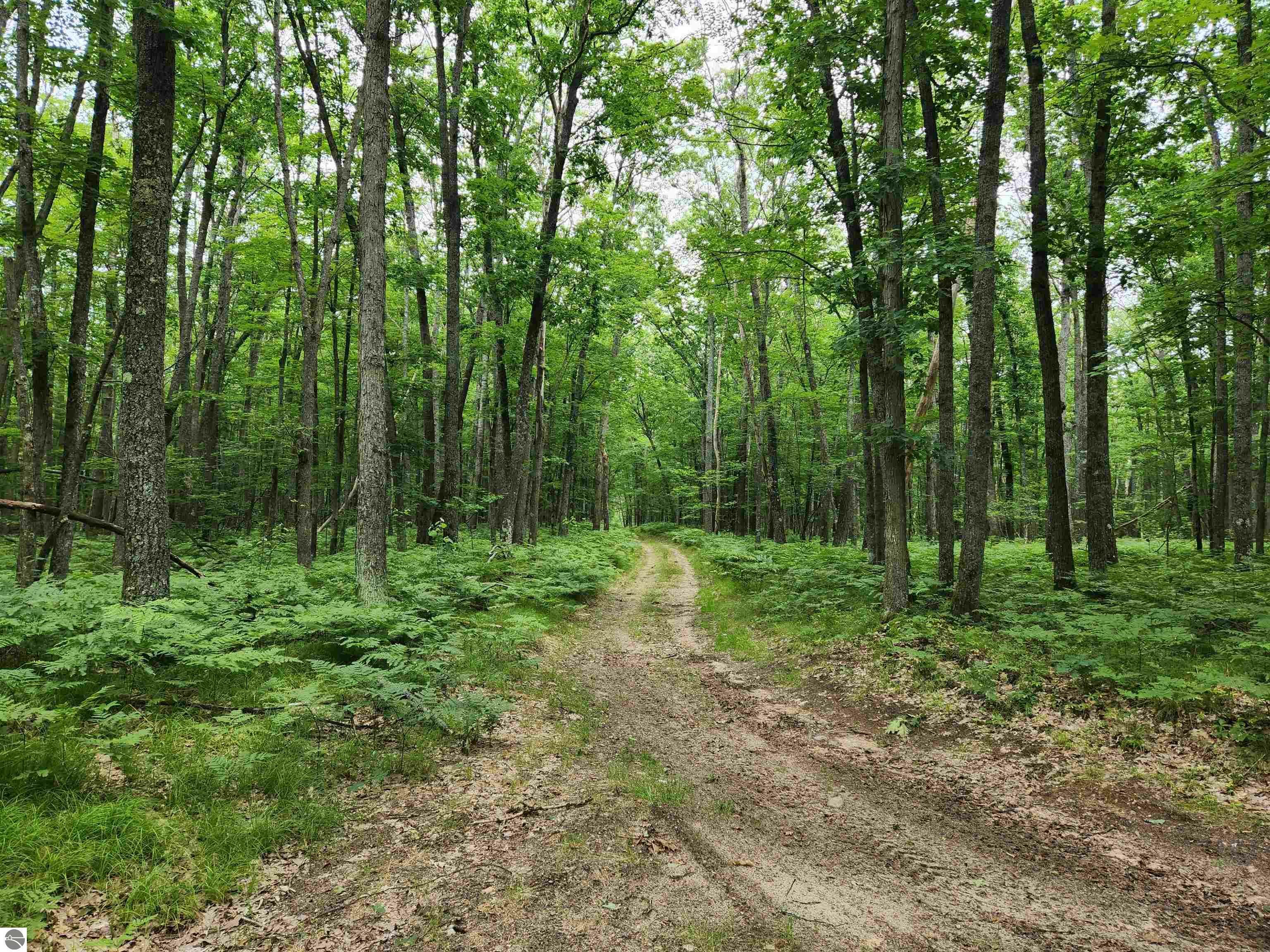 Property Photo:  20A Penguin Trail  MI 49738 