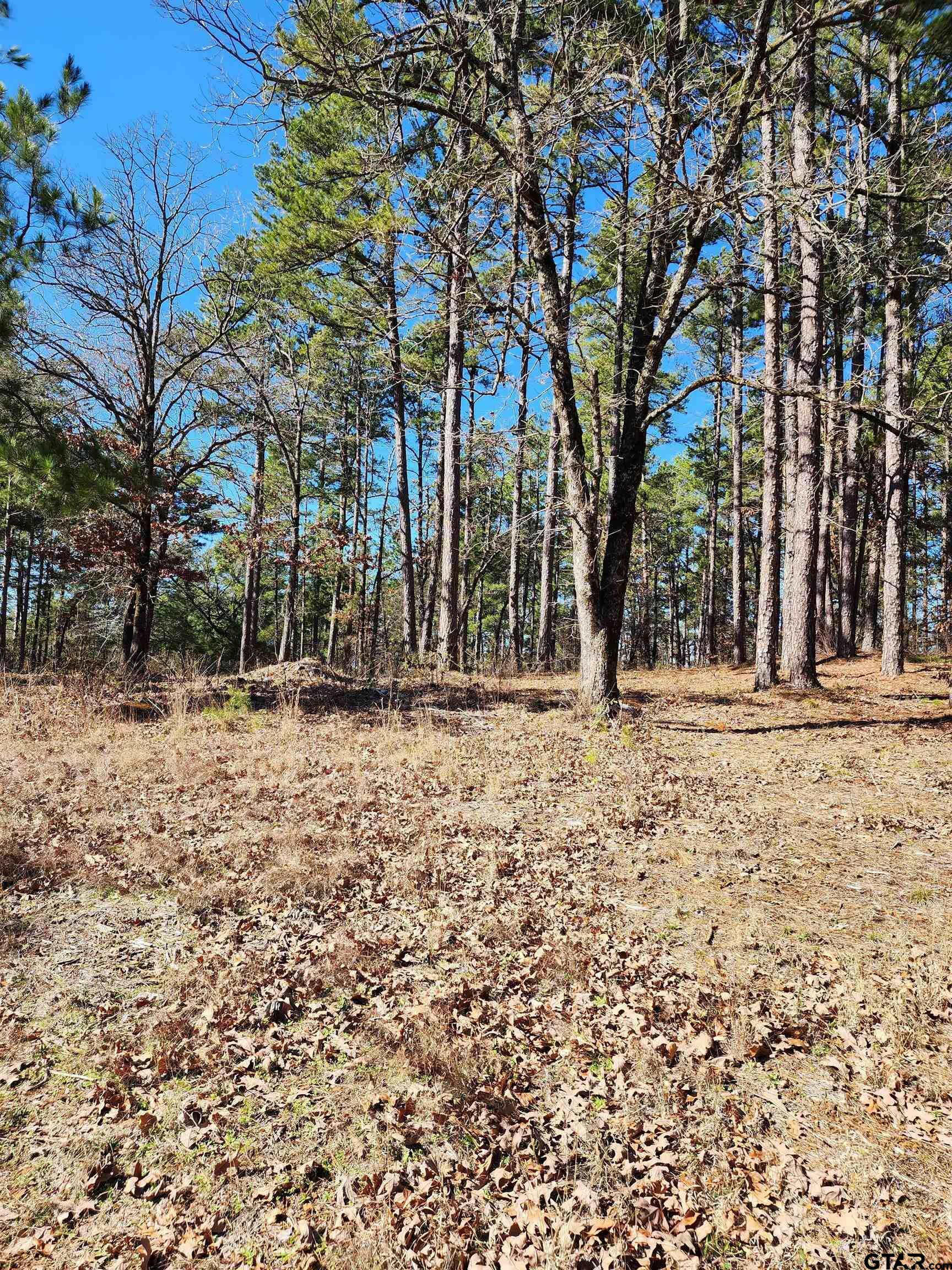 Property Photo:  16373 County Road 436  TX 75771 