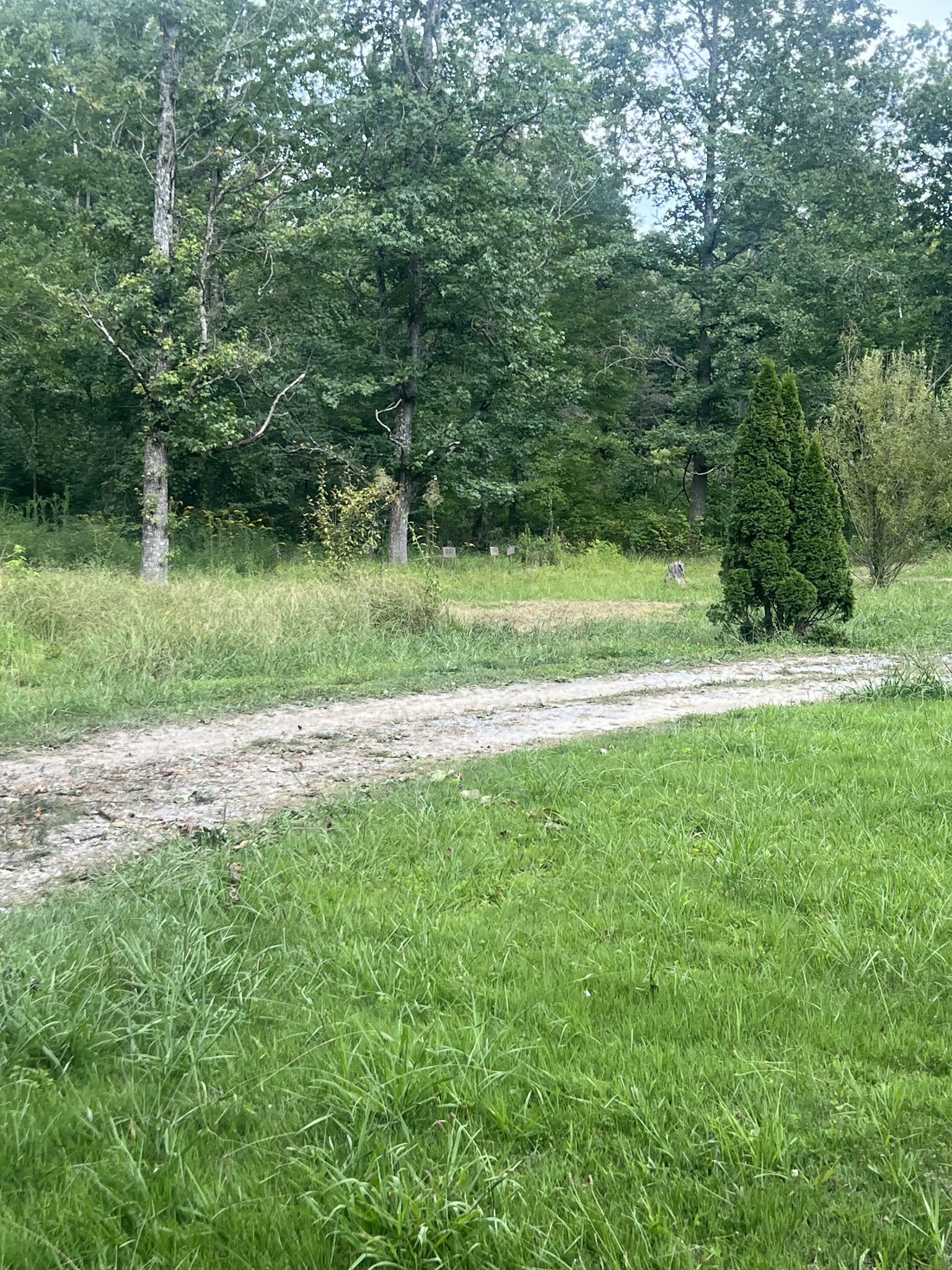 Property Photo:  250 Shiloh Rd  TN 37018 