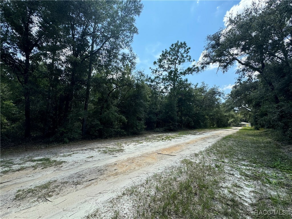 Property Photo:  8178 W Napoli Lane  FL 34428 