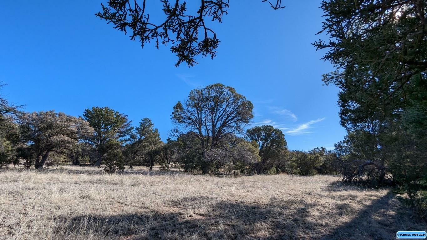 Property Photo:  1xxx Old Telegraph Ridge Road  NM 88061 