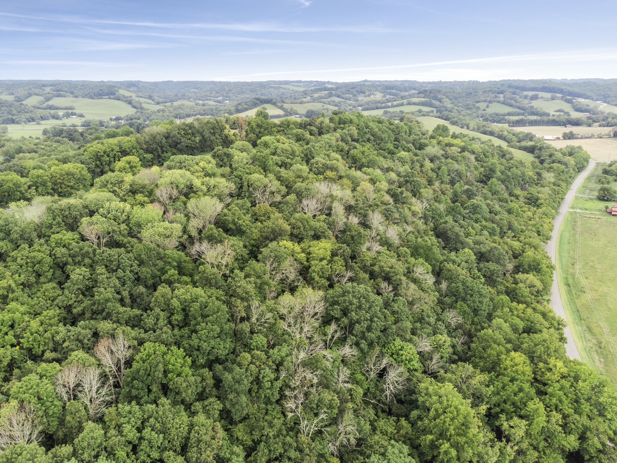0 Cobb Hollow Rd  Lynchburg TN 37352 photo