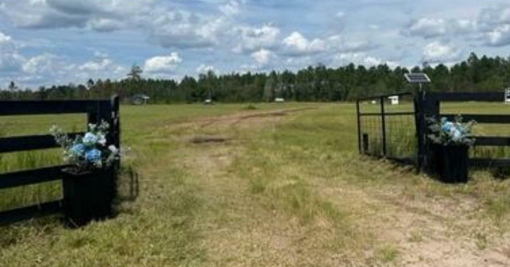 Property Photo:  36081 Pratt Siding Road  FL 32011 