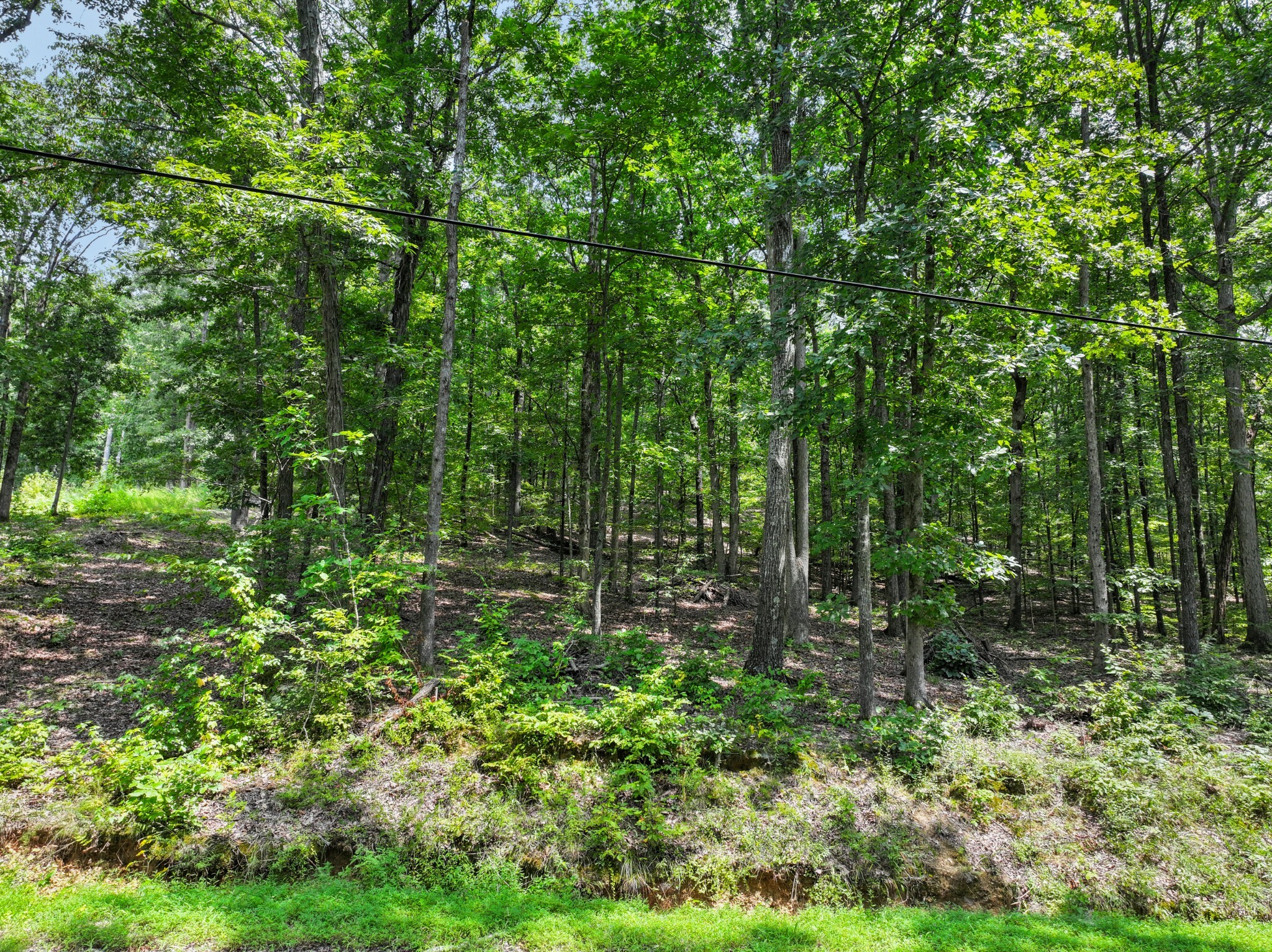 Property Photo:  0 Eagle Shore Dr  TN 37058 