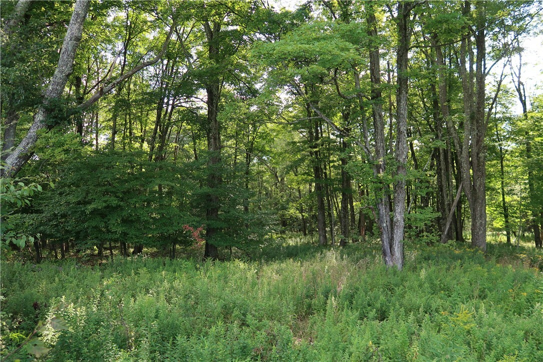 Property Photo:  Lot 5 German Road  NY 13863 