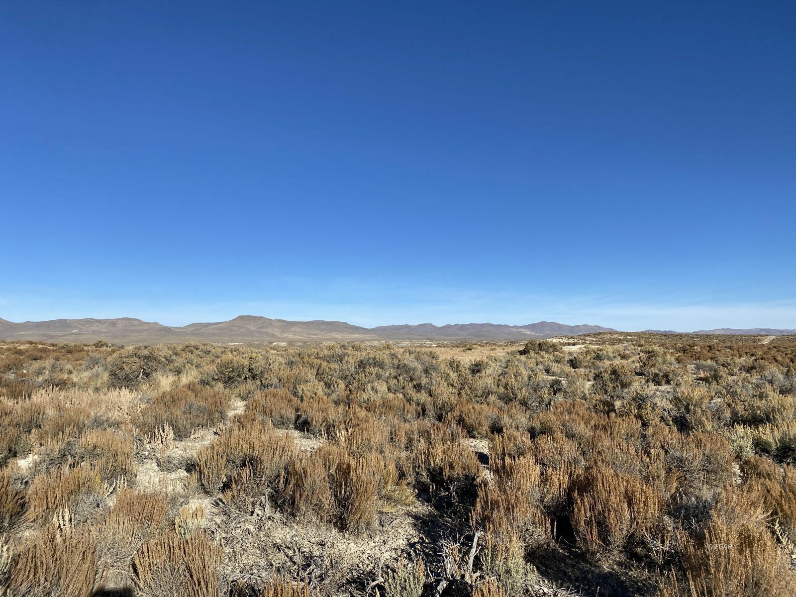 Property Photo:  020-011-007  Spoonbill Avenue  NV 89823 