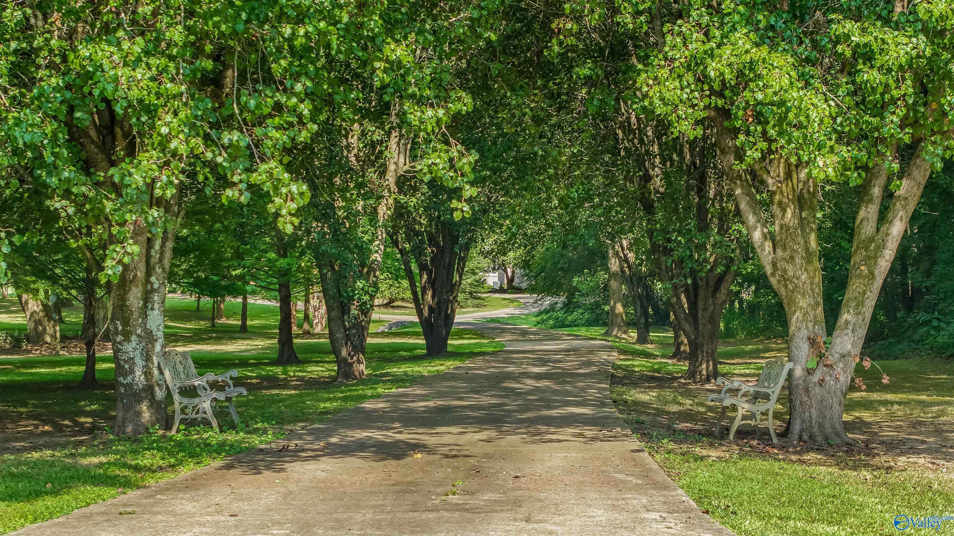 Property Photo: 253 County Road 622 AL 35989