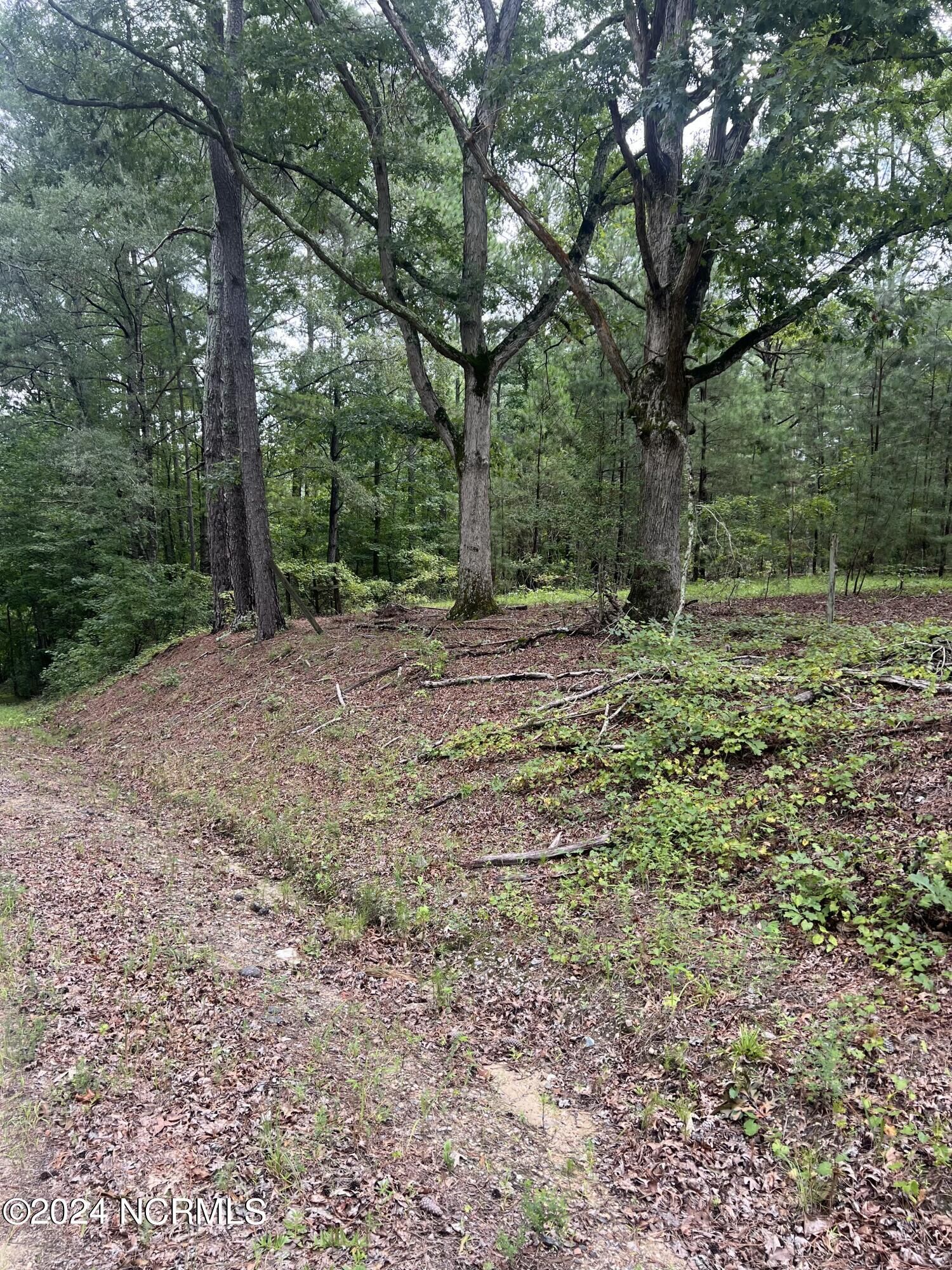 Property Photo: 0 Charles Road NC 27242