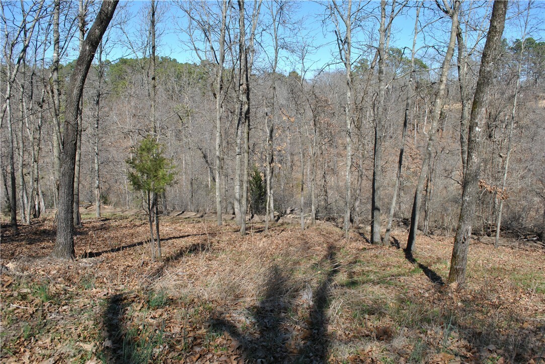 Property Photo:  Lot 103 E Robin Road  AR 72756 