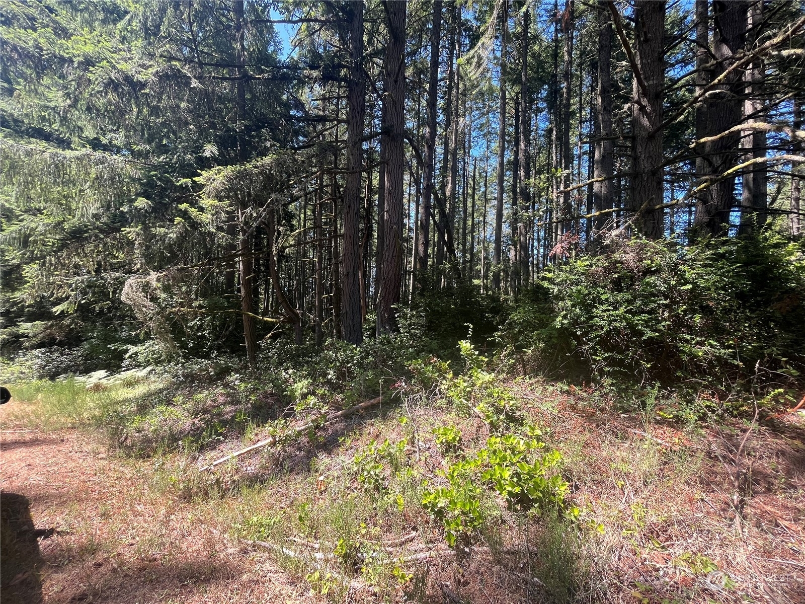 Property Photo:  10408 Narrows Drive  WA 98303 