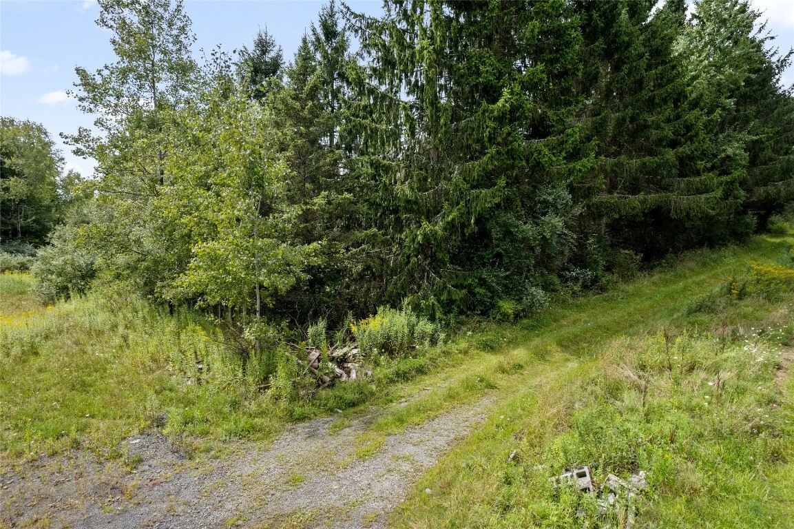 Property Photo:  485 Death Valley Road  NY 13790 