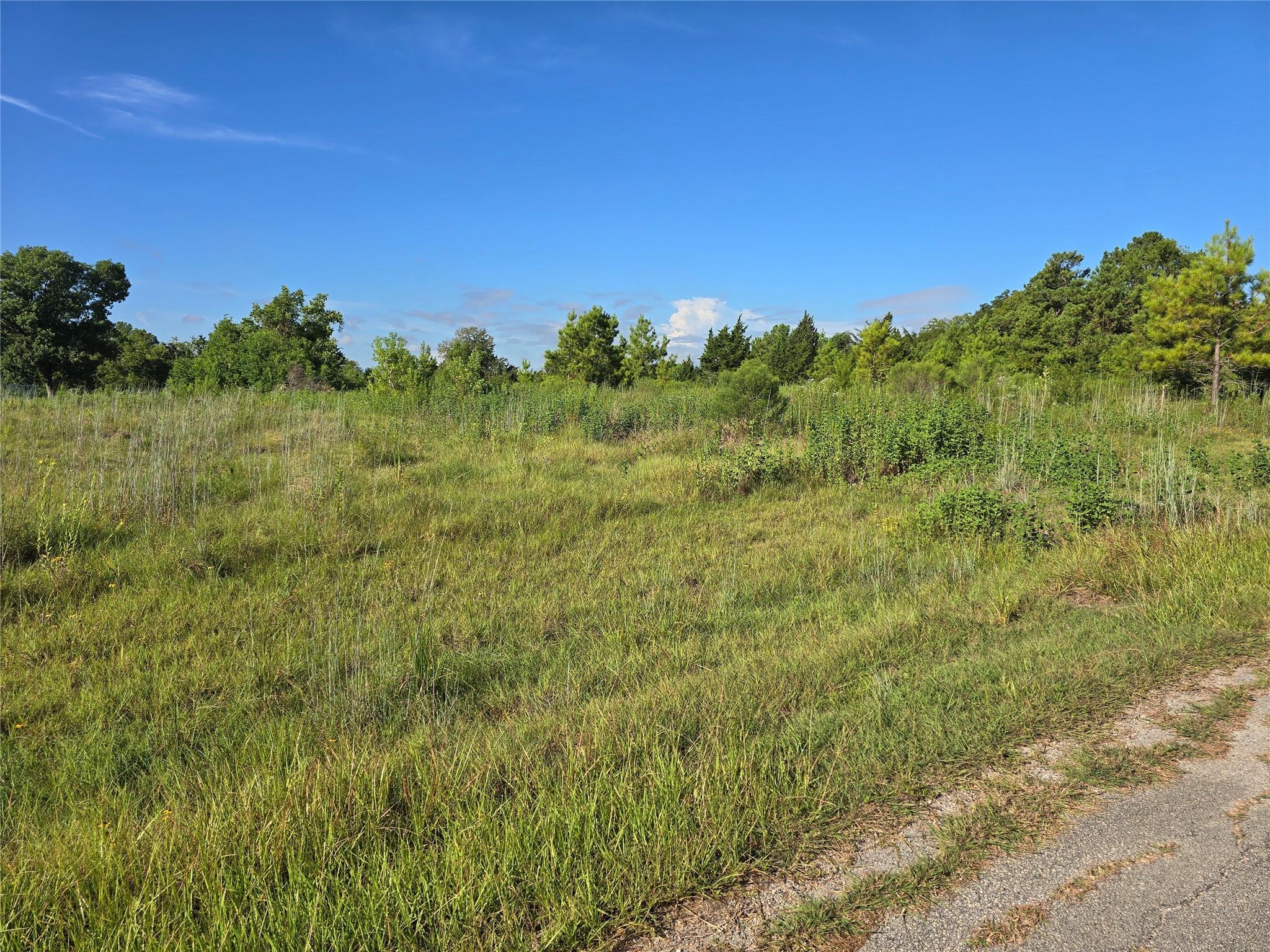 Property Photo: Lot 9 Lewis Creek Circle TX 77318