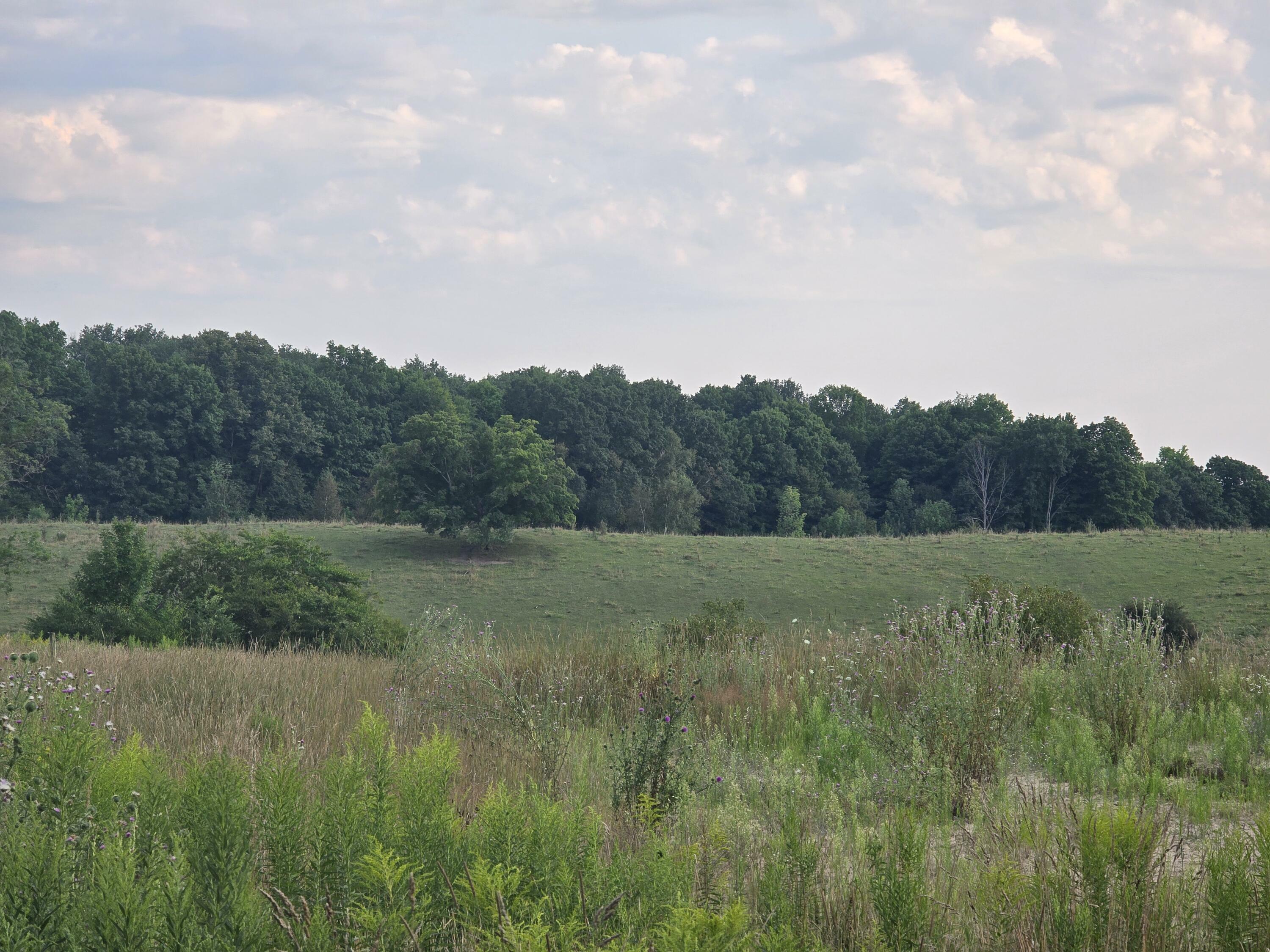 Property Photo: 8561 E Hersey Road MI 49631
