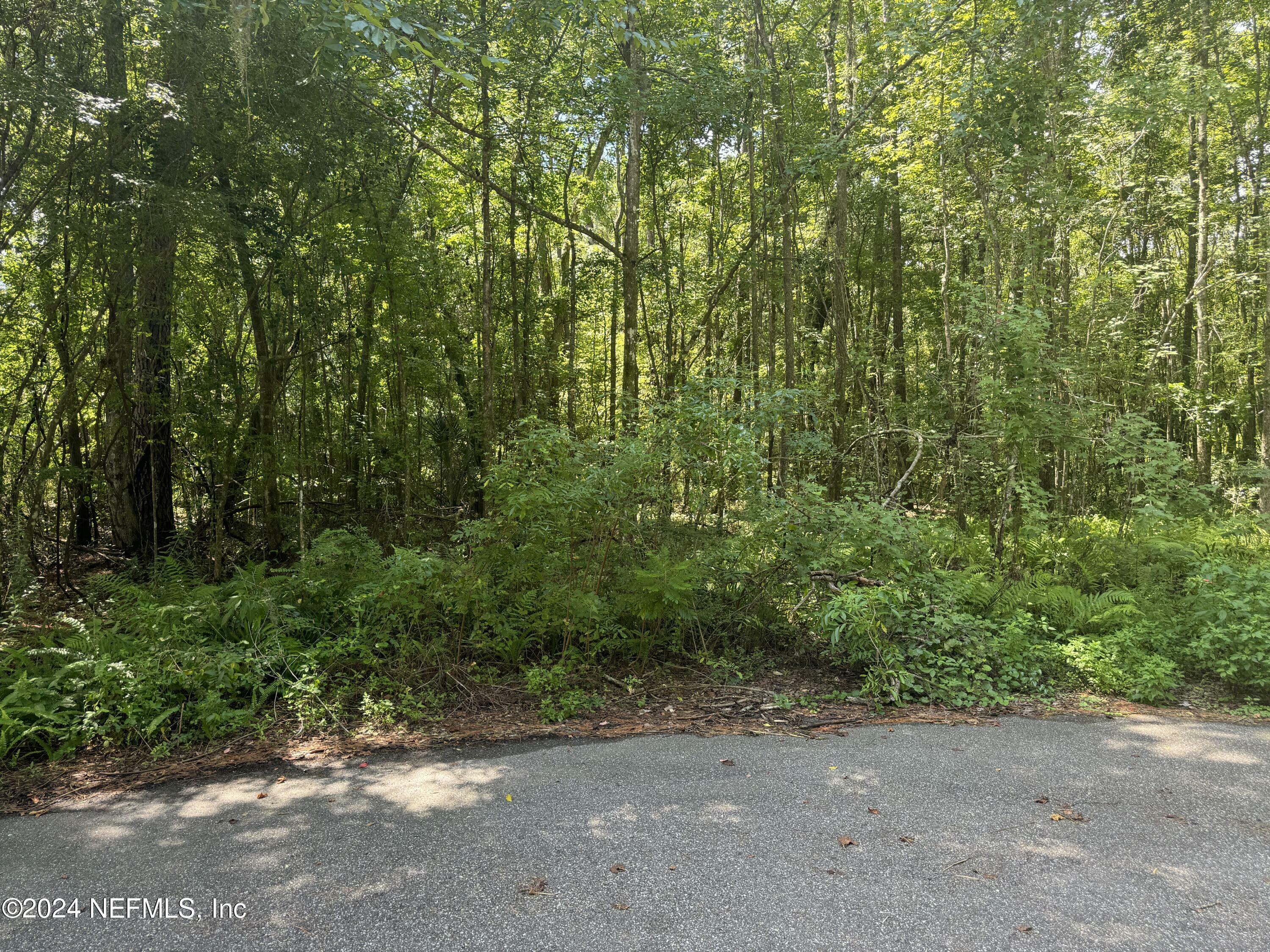 Property Photo:  0 Ranie Road  FL 32218 