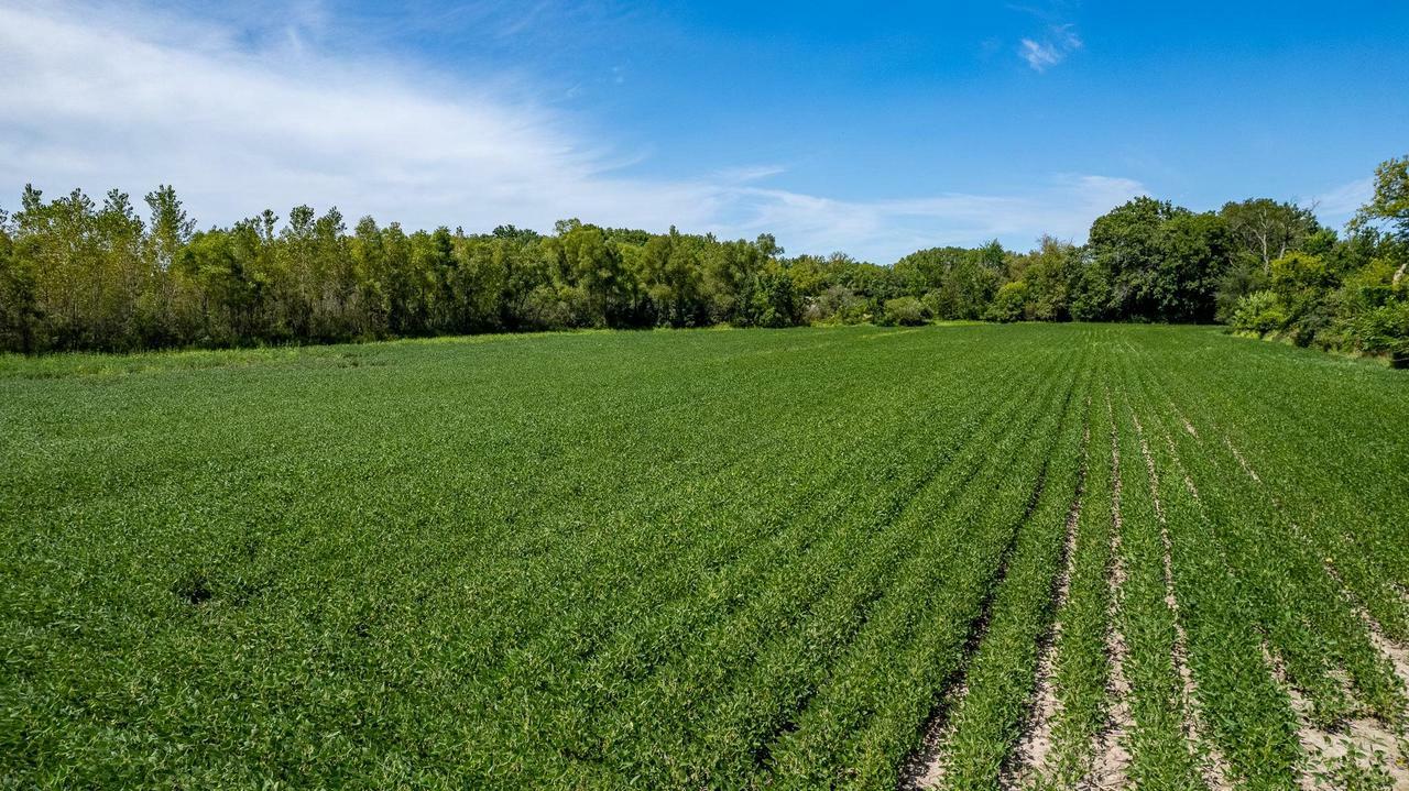 Property Photo:  9.93 M/L Acres Highway 51  WI 53589 