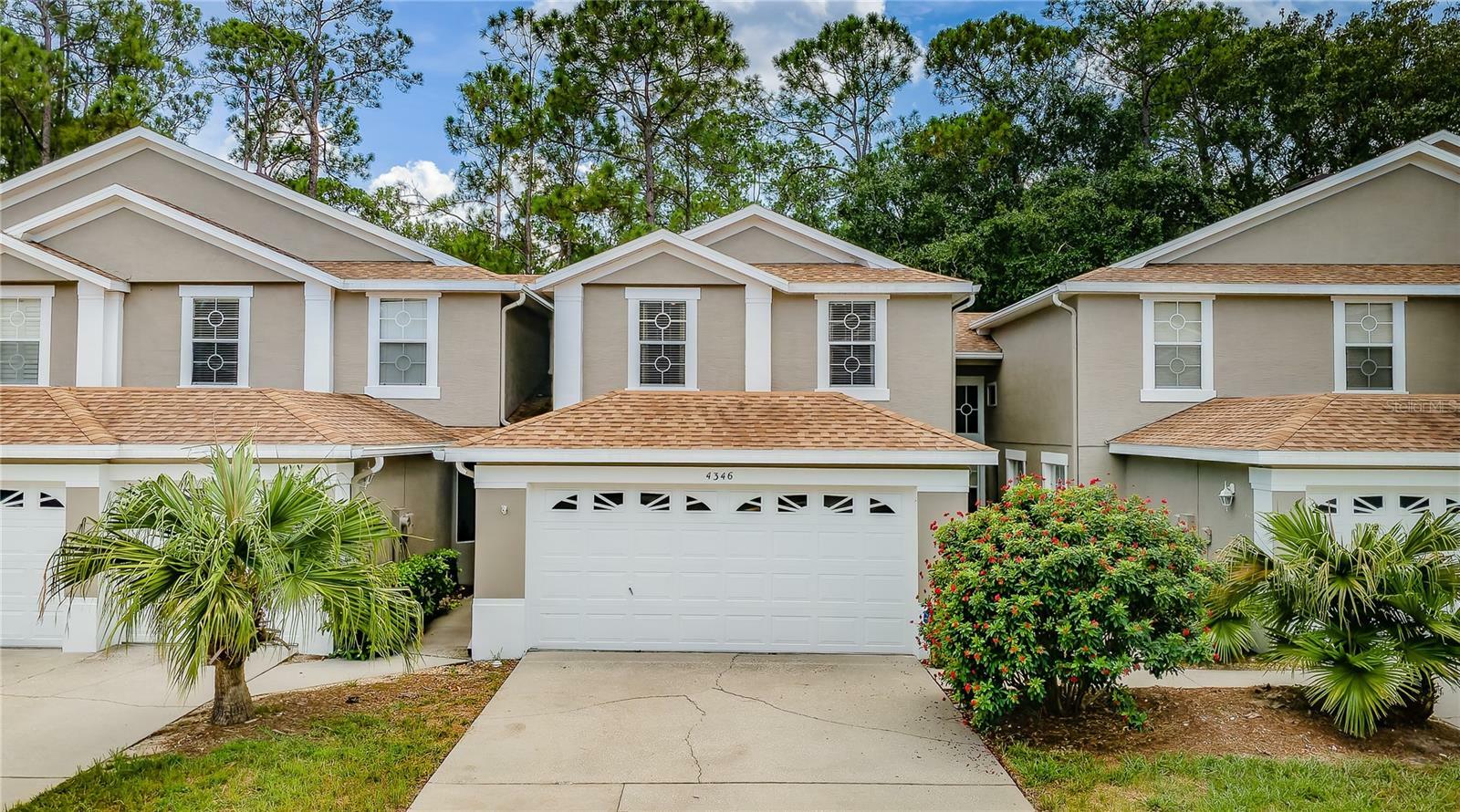 Property Photo:  4346 Brooker Creek Drive  FL 34685 