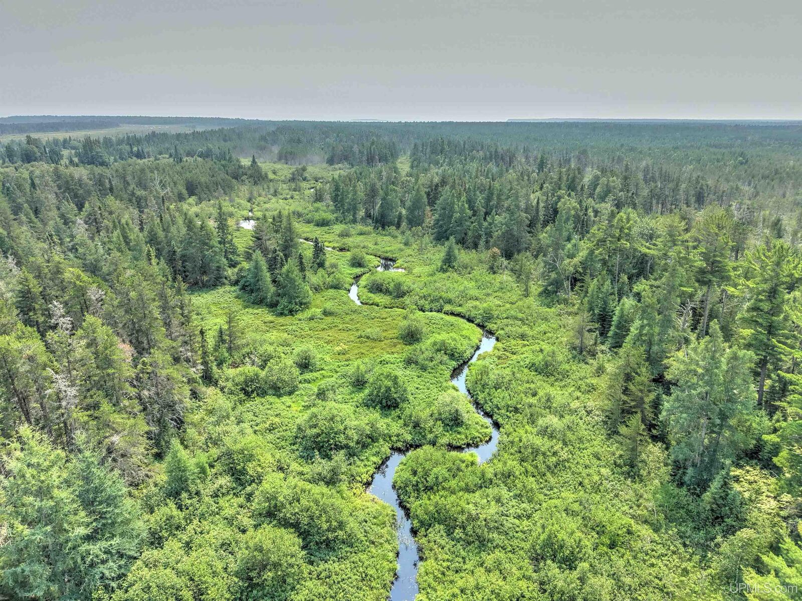 Property Photo:  Tbd Near Rice Lake &Amp Big Traverse Bay Rds Road  MI 49945 